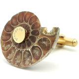 Curated Natural Selection Cufflinks and Ankers - pranga